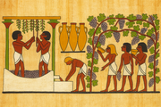 Representação egípcia do processo de vinificação, cerca de 2.500 a.C. uma das primeiras referências ao uso de ânforas na produção de vinho.